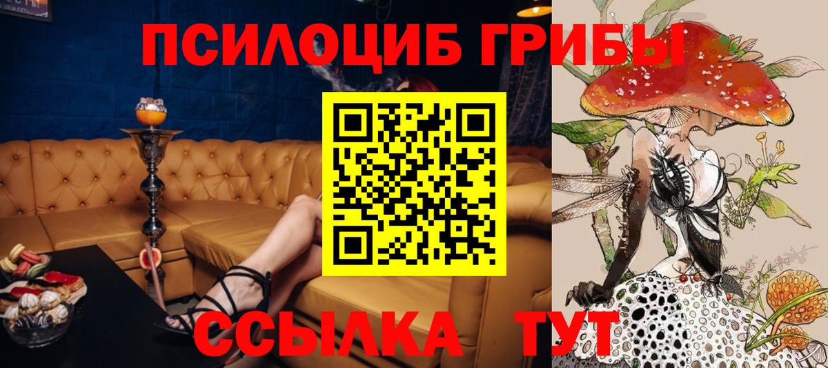 Галлюциногенные грибы прущие грибы  наркотики  Нижний Новгород  Вход с VPN 