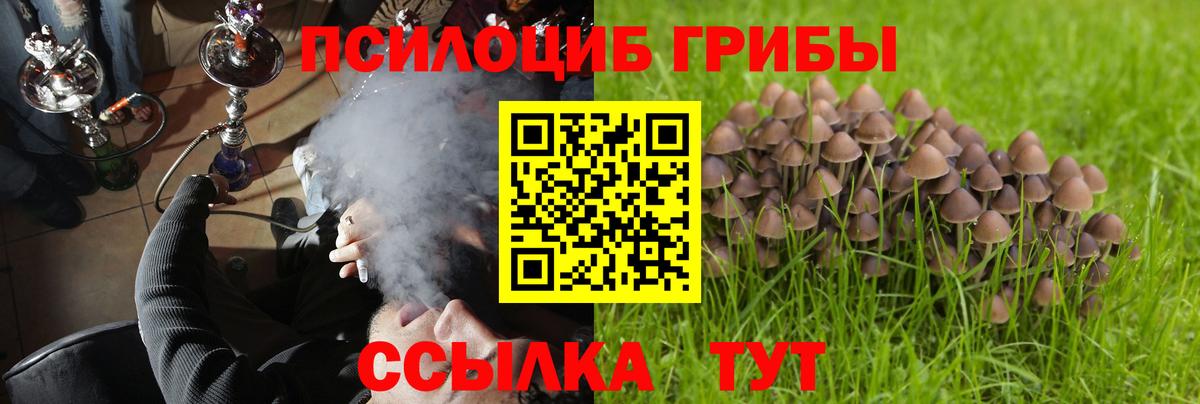 Вейп ТГК  Нижний Новгород  Бошки Шишки  Вход с VPN  Мефедрон   Гашиш 